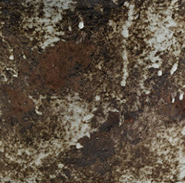dark brown dune
